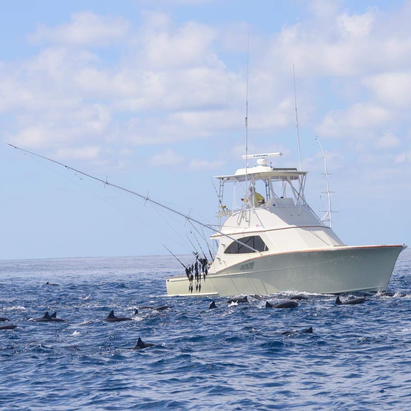 Full Day Fishing Trip